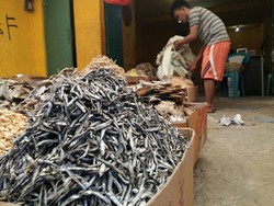 Paling Mahal, Teri Medan Lebih Berkualitas dari Teri Impor Thailand