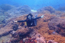 Menantang Arus di Mangrove Nusa Lembongan, Bali