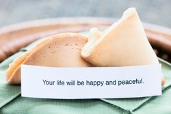 Chocolate Chip Cookies dan Ladyfinger, Biskuit Klasik yang Punya Sejarah Unik (2)