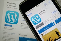 WordPress Kuasai 58,7% Pasar CMS
