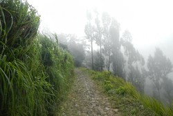Mendaki Gunung Sumbing Lewat Jalur Garung, Seru!