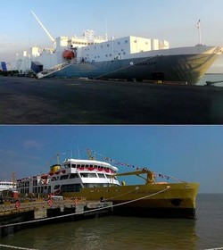 Kapal Ternak di Australia Bisa Angkut 4.000 Sapi, RI Cuma 500 Sapi