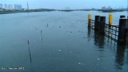 Bangun Tembok 3,8 Meter Salah Satu Solusi Ahok Atasi Banjir