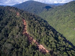 Di Hutan Belantara, Kecamatan di Kalimantan Ini Akhirnya Punya Jalan