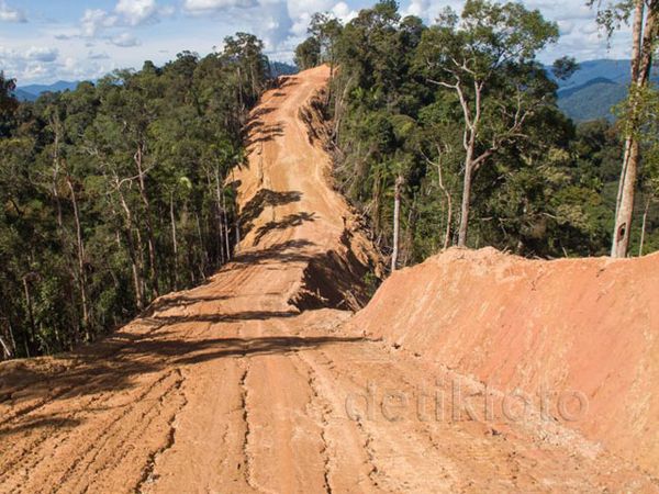 Pembangunan Jalan di Hutan Perbatasan RI-Malaysia