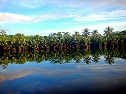 Cermin Alam di Sungai Cijulang 1