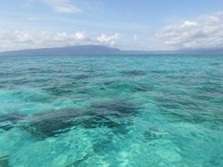 Perawan Cantik dari Kalimantan Timur