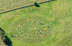 Inggris Punya Stonehenge Satu Lagi, Tapi dari Kayu!