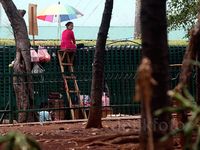 PKL 'Nangkring' di Pagar JCC
