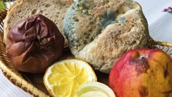 Uap Minyak Kayu Putih dan Oregano Dapat Hilangkan Jamur pada Buah-buahan