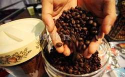 Investor Negeri Kangguru Bidik Pengolahan Biji Kopi Hingga Hortikultura