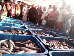 Menteri Susi Pantau Lelang Ikan Tuna di TPI Sendang Biru