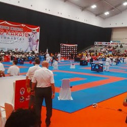 Dua Karateka Masuk Final, Indonesia Berpeluang Tambah Emas