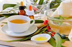 Minyak Eucalyptus dan Rosemary, Herbal Kuno yang Ampuh Atasi Penyakit (1)