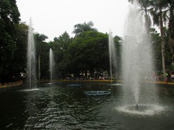 Santai Sejenak di Taman Beringin Medan