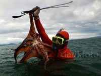 Melihat Cara Anak Pulau Nasi Mencari Gurita