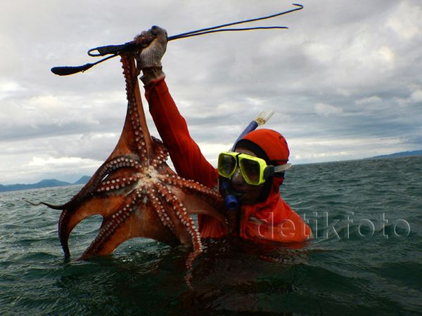 Melihat Cara Anak Pulau Nasi Mencari Gurita