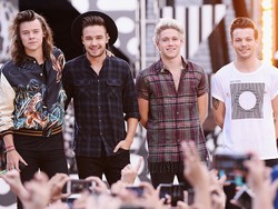 One Direction Vakum 2 Tahun