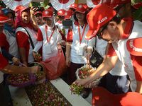 Ketum IKADIN Tabur Bunga di Makam Bung Tomo