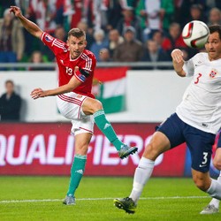 Hongaria Bagi Rata Torehan Gol