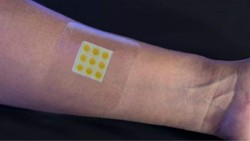 Plester Pendeteksi Bakteri Bisa Cegah Kekebalan Antibiotik