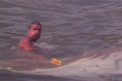 Dahulu Pantai-Pantai di Sydney Ternyata Bagaikan Septik Tank