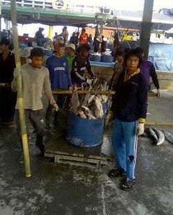 Seluruh Nelayan dan Petani di RI Diharapkan Jadi Peserta BJPS