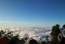 Menyentuh Lautan Awan di Puncak Cikuray, Garut