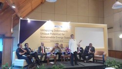 Swedia Sarankan RI Kembangkan Energi Biomassa Daripada Batu Bara