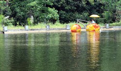 sepeda dayung