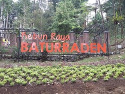 Tak Cuma Bogor, Baturraden Juga Punya Kebun Raya