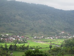 Liburan Seru di Jambi, Main ke Kawasan Jangkat Saja