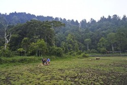 Kemarau Panjang, Situ Gunung Pun Mengering