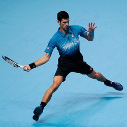 Kalahkan Berdych, Djokovic Jumpa Nadal di Semifinal