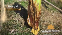 Warga Myanmar Kecam Foto di Majalah Vietnam Airlines