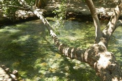 Rileks Dulu di Pemandian Air Panas Mengeruda, NTT