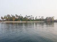 Jaam, Pulau Penjaga Hiu di Raja Ampat