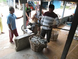 Menengok Sentra Ikan Asin di Pulau Buku Limau, Belitung Timur