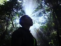 Beragam Flora di Taman Nasional Gede Pangrango