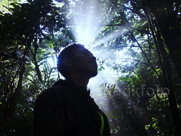 Beragam Flora di Taman Nasional Gede Pangrango