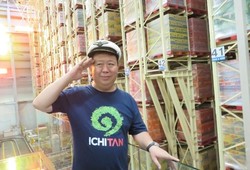 Berkonsep Green Factory, Pabrik Ichitan Gunakan Teknologi Canggih