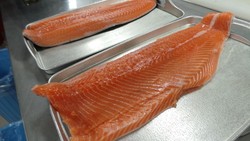 Ini Tips Membuat Fillet Salmon dari Masayoshi Kazato