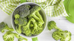 Apakah Serangga, Telur Lalat, dan Belatung Dalam Makanan Aman Dimakan? (1)