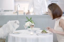 Layanan Katering Ini Sediakan Makanan untuk Kucing dan Pemiliknya