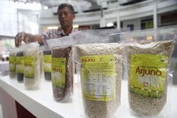 Ada Berapa Varietas Padi di RI, Ini Penjelasannya