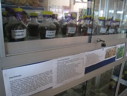 Keren! Ada Museum Kopi Mini di Kantor Disbudpar Belitung Timur