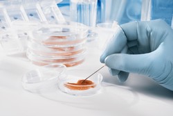 Begini Mekanisme Pengujian Bahan Non Halal dengan Tes Cepat