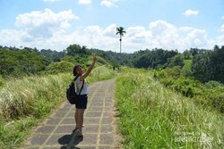 Bisa Ngapain Saja di Ubud?