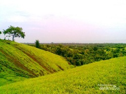 Yang Belum Kamu Tahu, Bali Punya Bukit Teletubbies