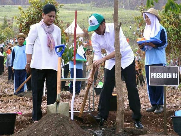 Jokowi Resmikan Taman Hutan Terluas di Indonesia